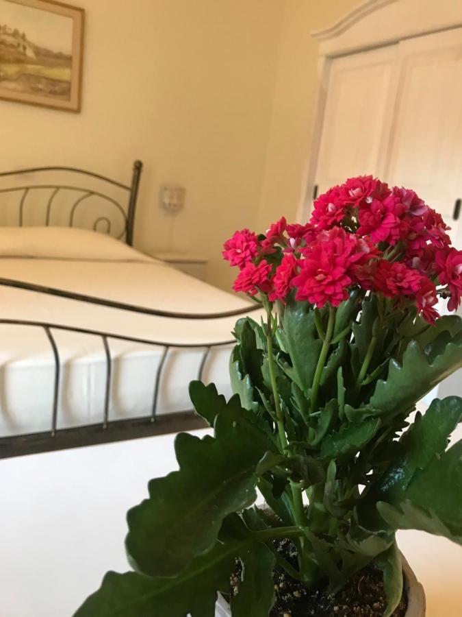 Domo Antiga Guest Rooms ซอร์โซ ภายนอก รูปภาพ