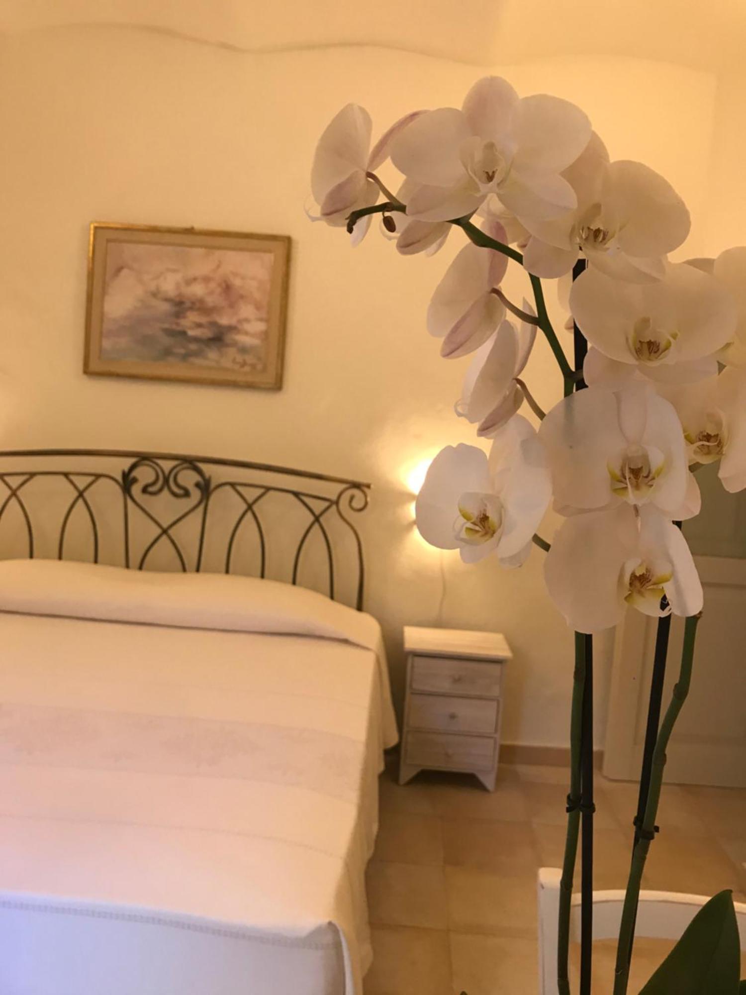 Domo Antiga Guest Rooms ซอร์โซ ภายนอก รูปภาพ